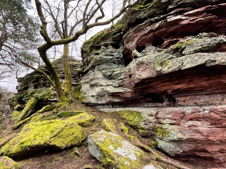 24-03-01 11-28-15 8860